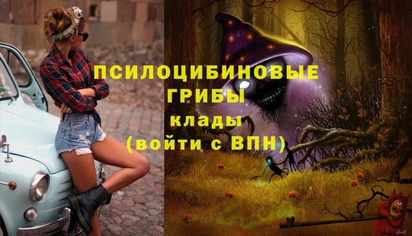 марки nbome Арсеньев