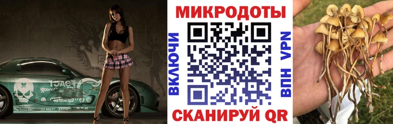 Галлюциногенные грибы мицелий  хочу   Славгород 